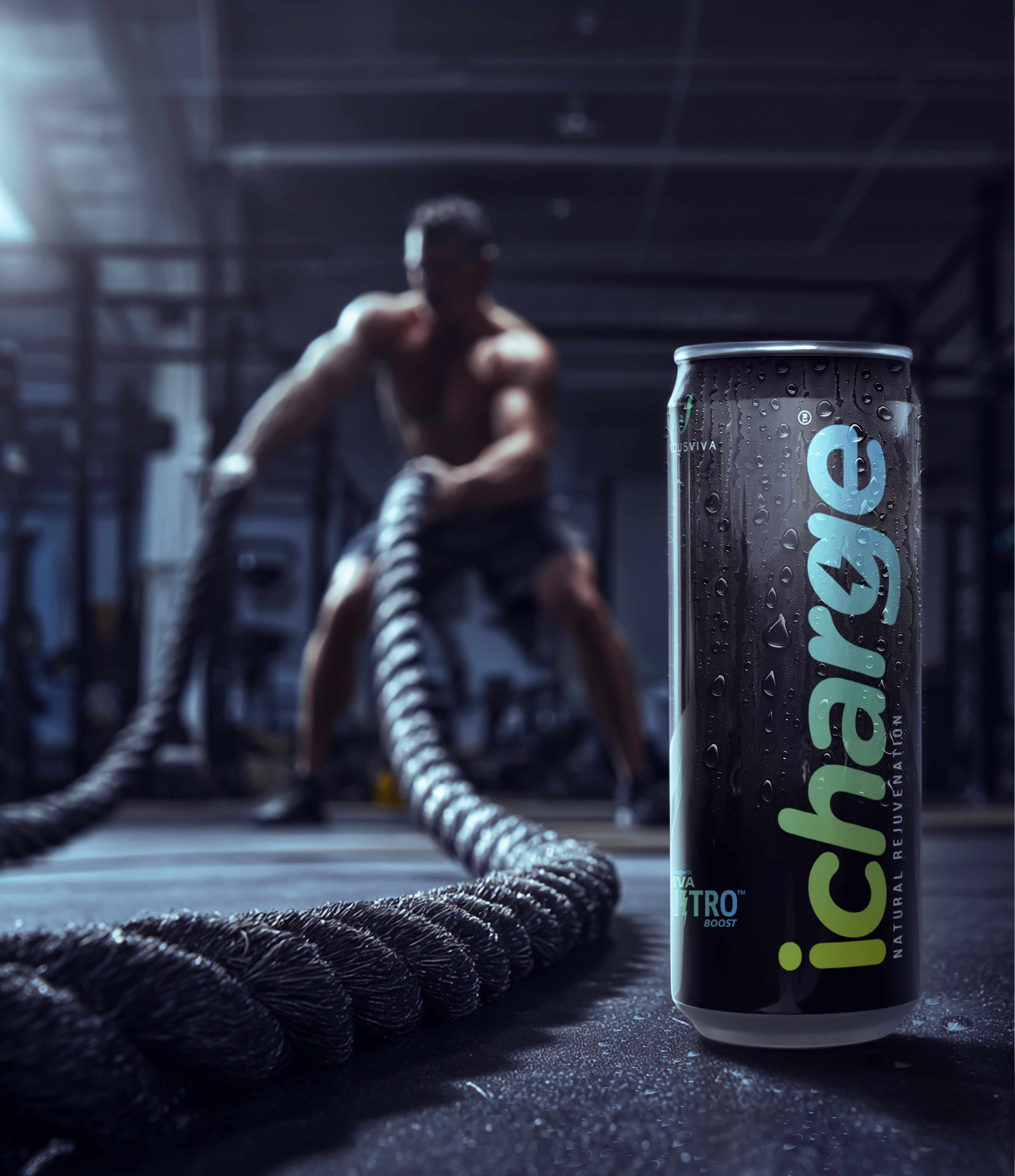 iCharge Product 1