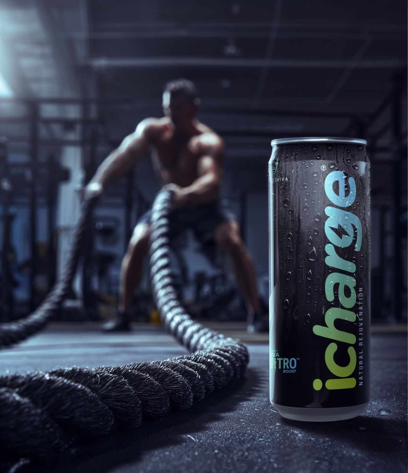 iCharge Product 1