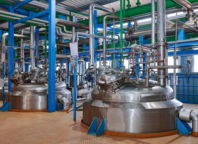 Global-Grade Safety & Efficacy
